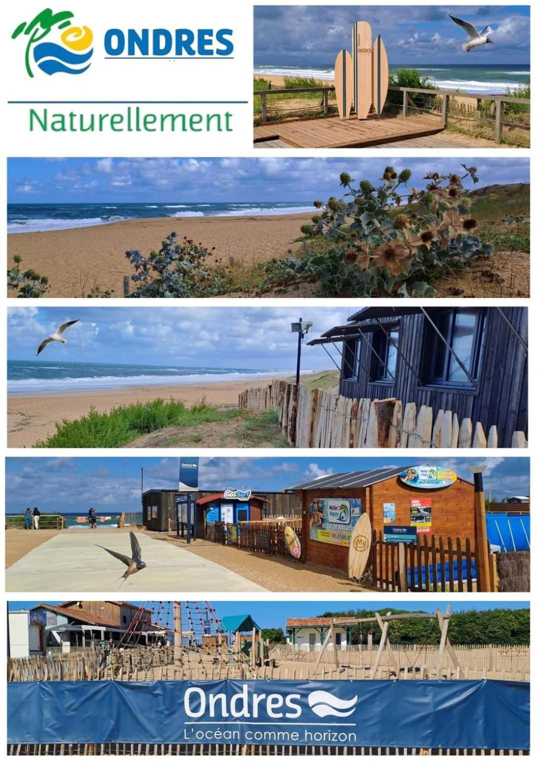 T2 Antigua Ondres Plage Avec Piscine Et Tennis Exteriér fotografie